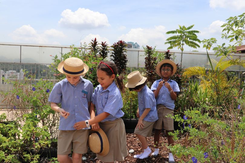 A group of students in the school garden